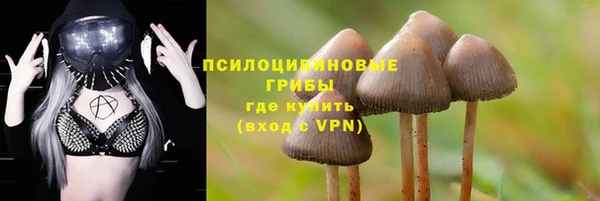 амф Богданович