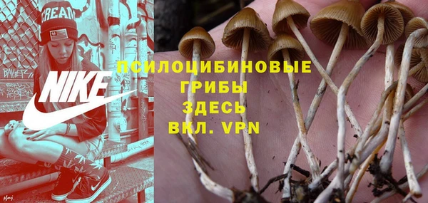 амф Богданович