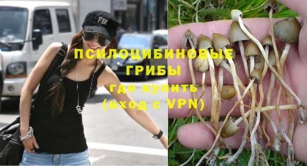 прущая мука Богородицк