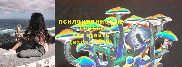 PSILOCYBIN Семикаракорск