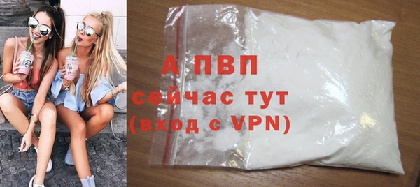 амф Богданович