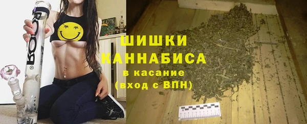 амф Богданович
