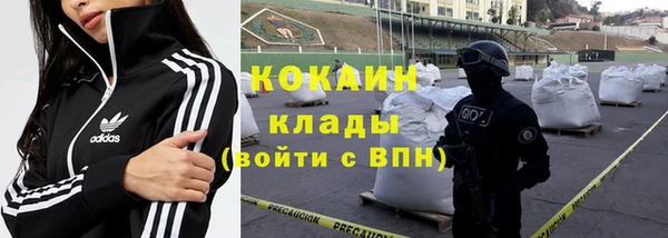 прущая мука Богородицк