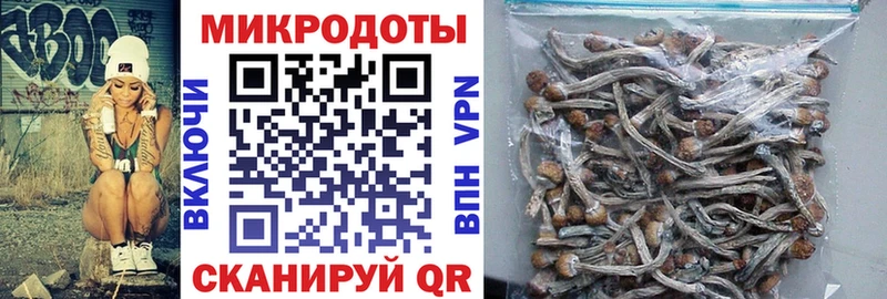 Псилоцибиновые грибы Magic Shrooms Дудинка